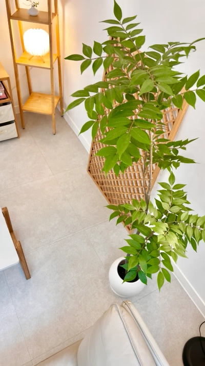 house image 4