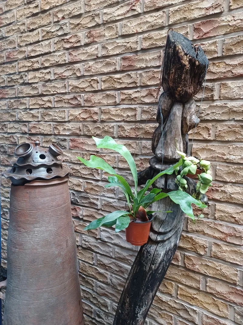 house image 13