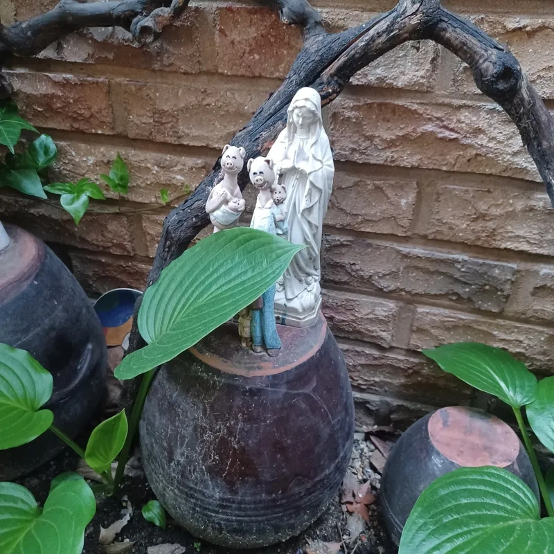 house image 11