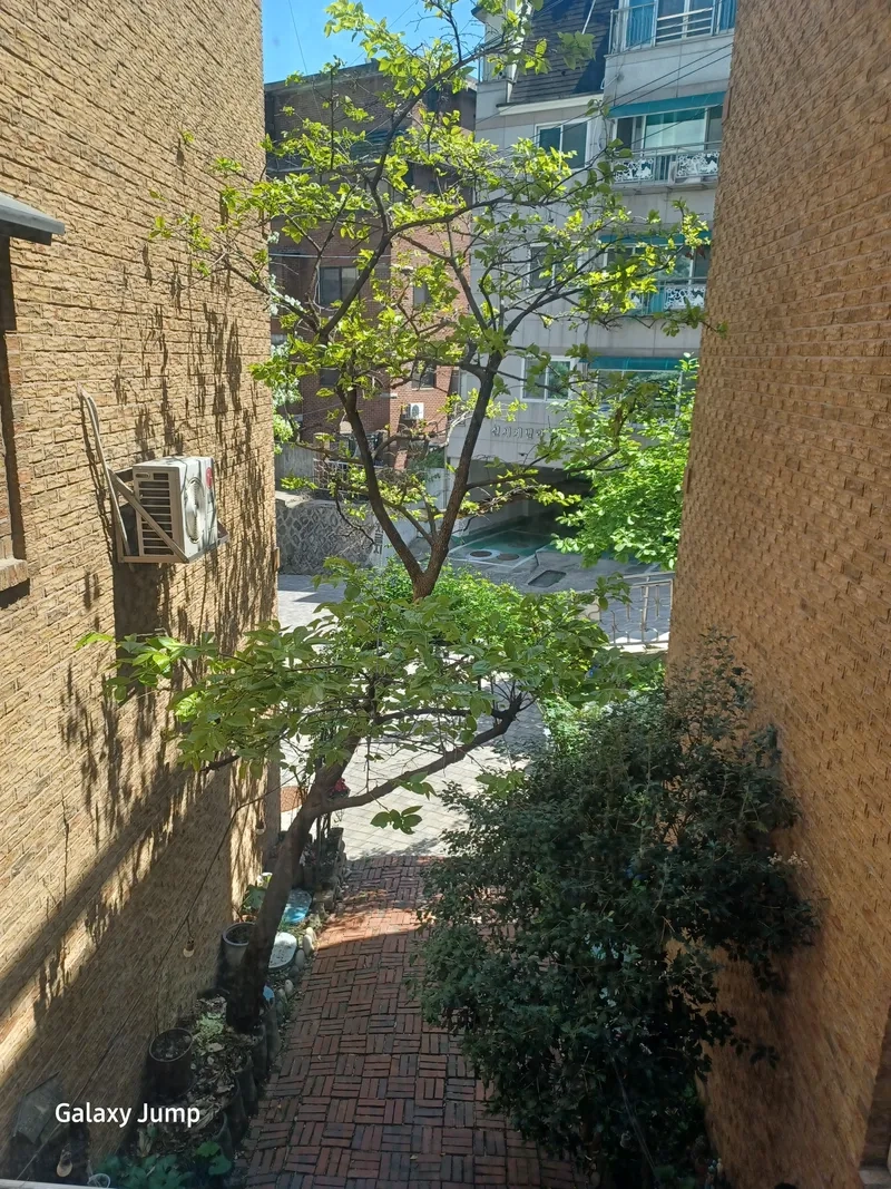 house image 3