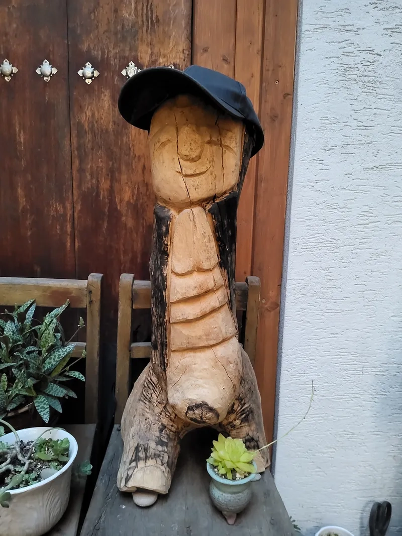 house image 12