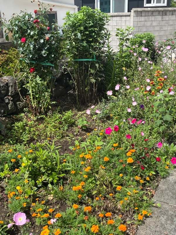 house image 16