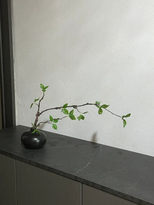 house image 3